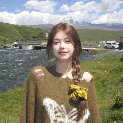 卡米拉海报